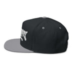 Embroidered HLY SPRT Flat Bill Cap