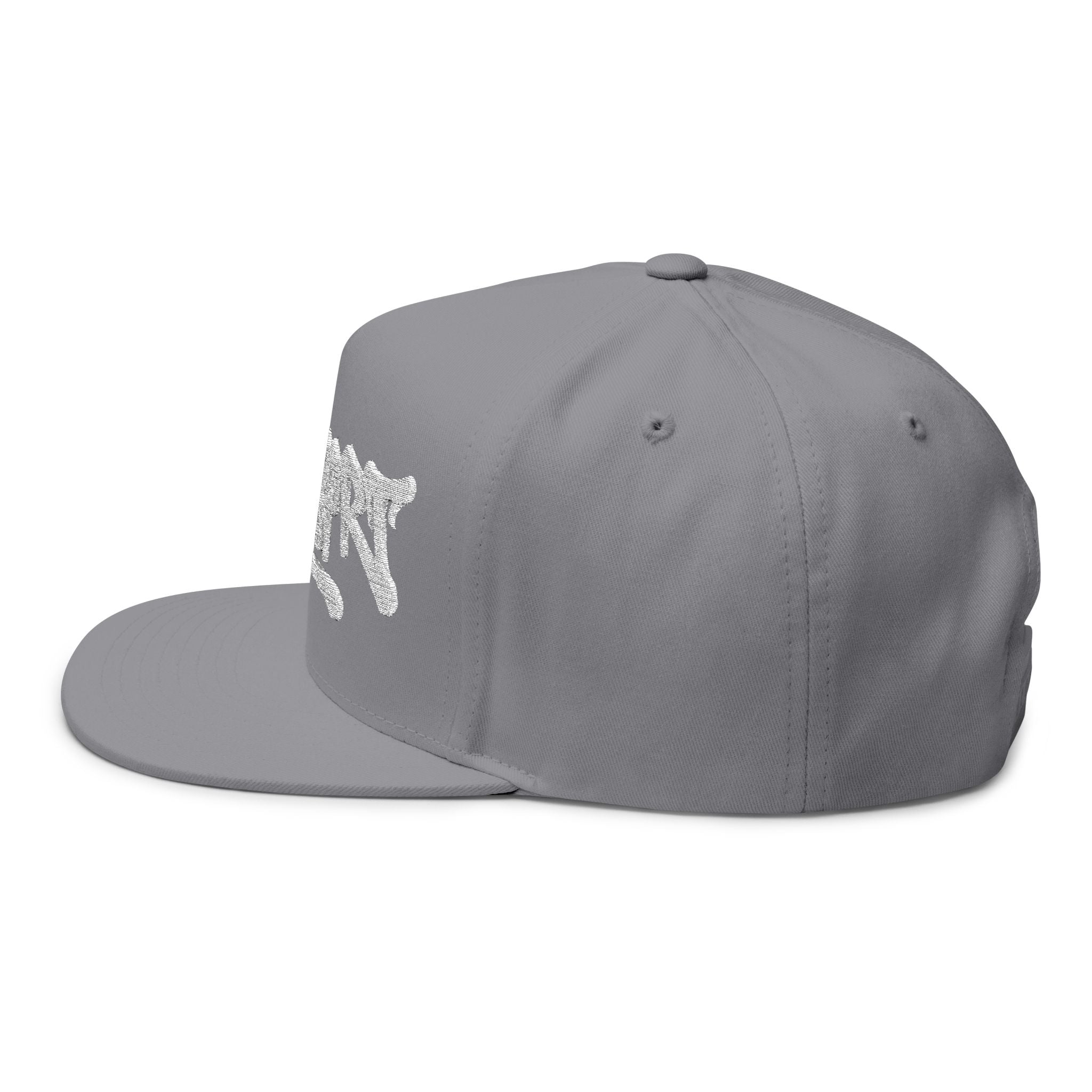 Embroidered HLY SPRT Flat Bill Cap